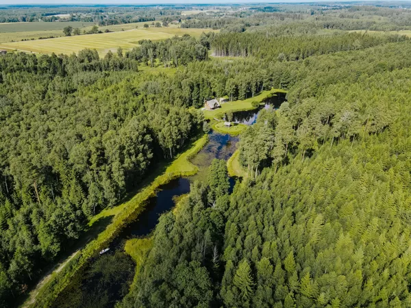 Aerofoto no brīvdienu mājas teritorijas