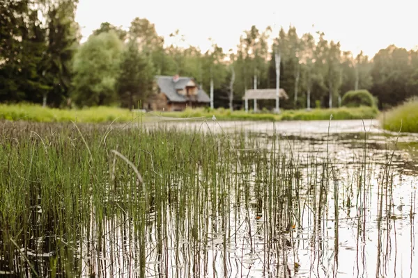 Skats uz brīvdienu māju no dīķa puses